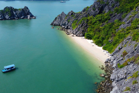 Halong & Lan Ha: 2D1N Celina of the Sea 6-Star Luxury Cruise Without Transfer Service