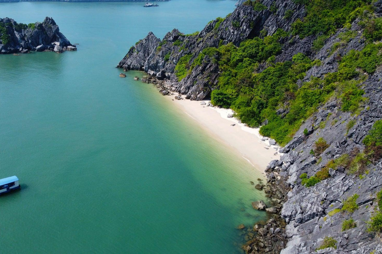 Halong & Lan Ha: 2D1N Celina of the Sea 6-Star Luxury Cruise Without Transfer Service