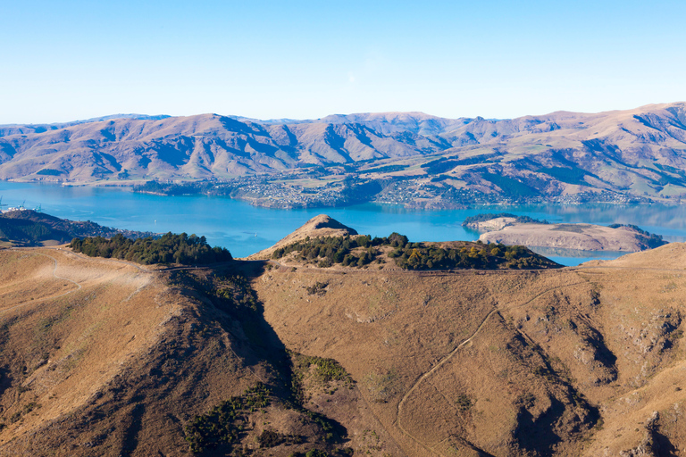 Christchurch: vuelo en helicóptero por la ciudad de 20 minutos