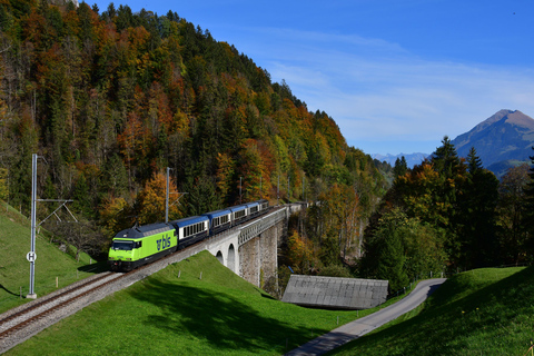 From Montreux to Interlaken: GoldenPass Express Scenic TrainSingle journey from Interlaken to Montreux (1st class)