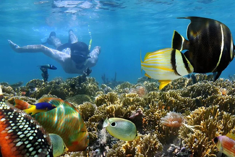 Bali: Nusa Dua Geweldig snorkelen Gratis ophalen in de omgeving van Nusa Dua