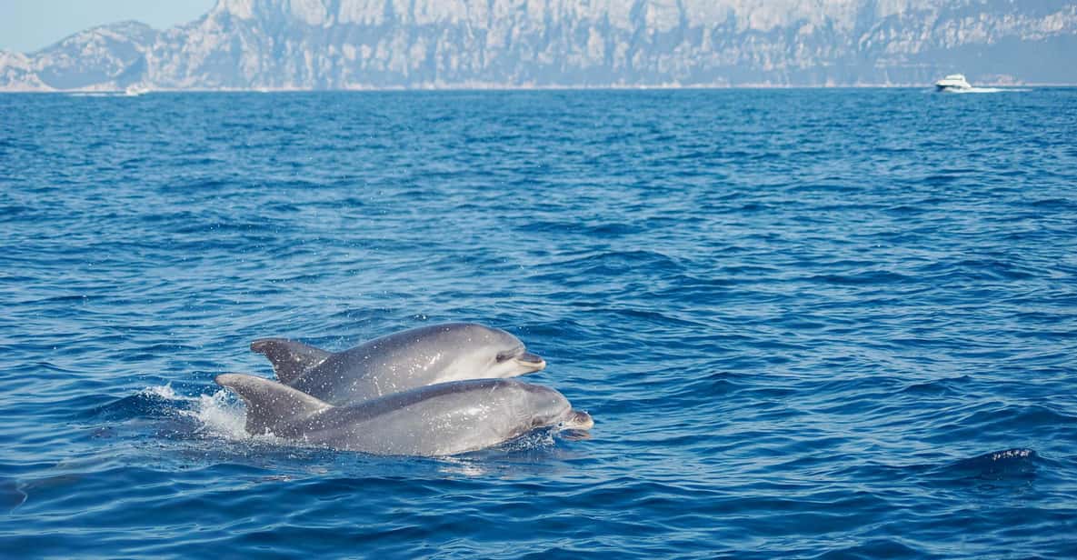 Afbeelding 4 van Maddalena-archipel: 3-daagse catamarancruise