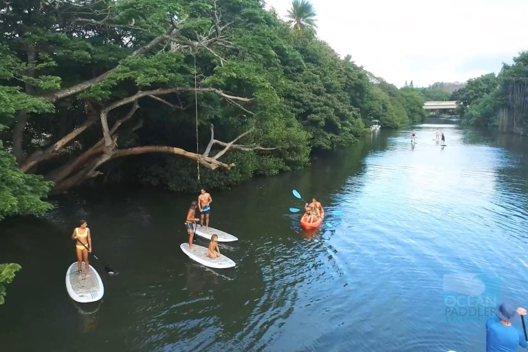 Haleiwa : location de paddle avec site de lancement privé