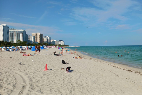 Miami Combo: Everglades Adventure and Sightseeing Tour Combo - Downtown Miami pickup