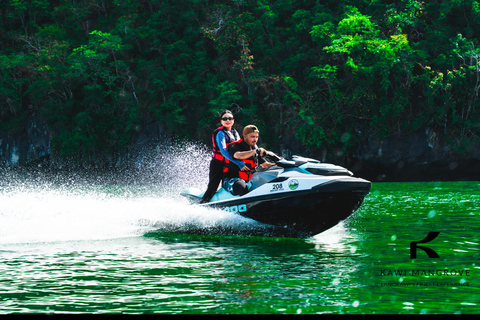 Langkawi: Mangrove Jet Ski Tour with Wildlife Watching
