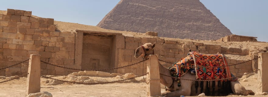 De Port Saïd : Pyramides de Gizeh et musée national