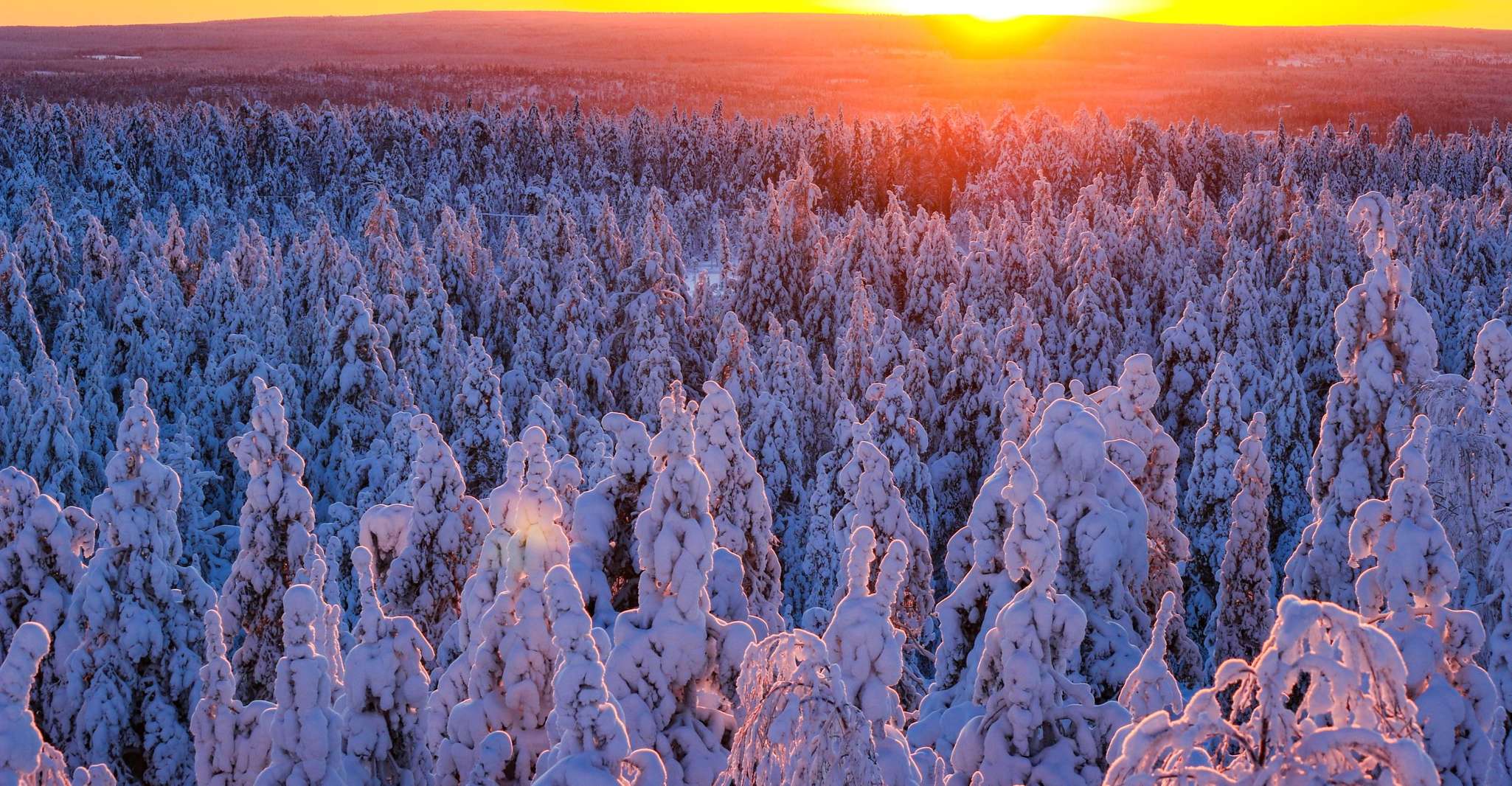 Rovaniemi, Guided Wilderness Snowmobile Ride - Housity