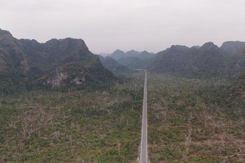 Half Day Hiking to Cat Ba National Park with a Guide