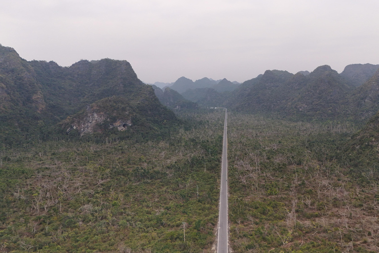 Half Day Hiking to Cat Ba National Park with a Guide