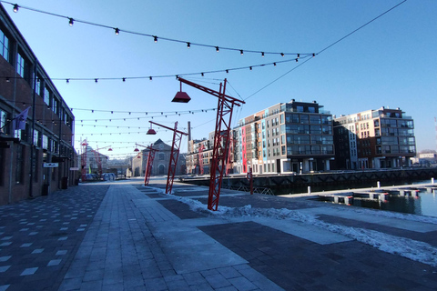 Tallinn Seafront Walking Tour Group