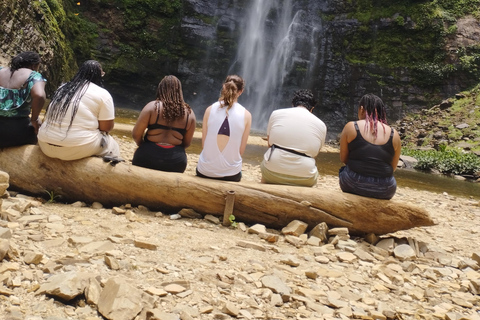 Região de Volta; Santuário de macacos de Tafi Atome e cascata de Wli ...