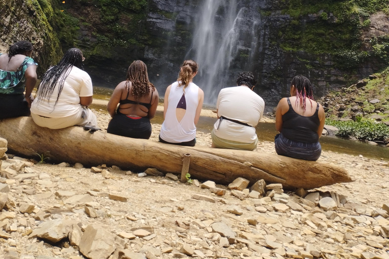 Região de Volta; Santuário de macacos de Tafi Atome e cascata de Wli ...