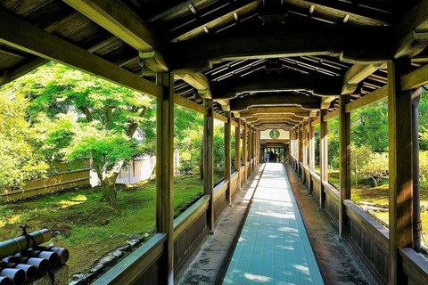 kyoto tour privado guiado con recogida