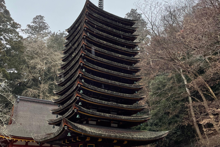 Asuka: Discover Origin of Japan–Historical Site and Nature
