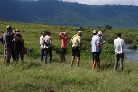Safari migratorio de lujo de 5 días en el Serengeti y el Ngorongoro