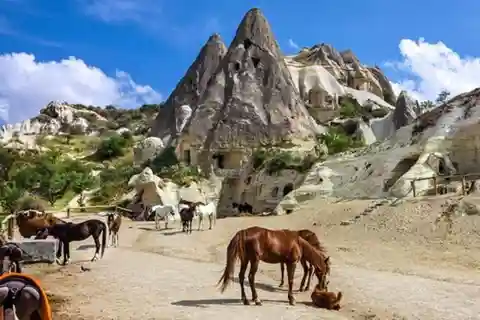 Göreme: Tour Privado de Camelo, Olaria, Passeio a Cavalo com Almoço
