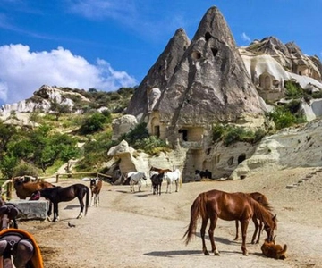 Göreme: Private Camel Tour, Pottery, Horse Ride w/Lunch