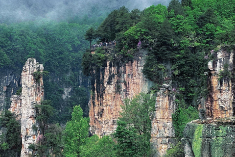 Zhangjiajie: National Forest Park Private Day Tour