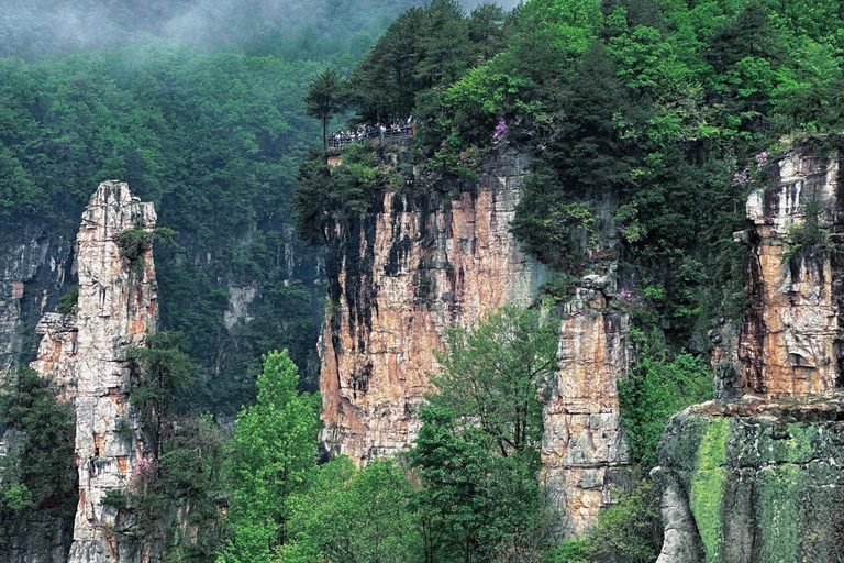 Zhangjiajie: National Forest Park Private Day Tour