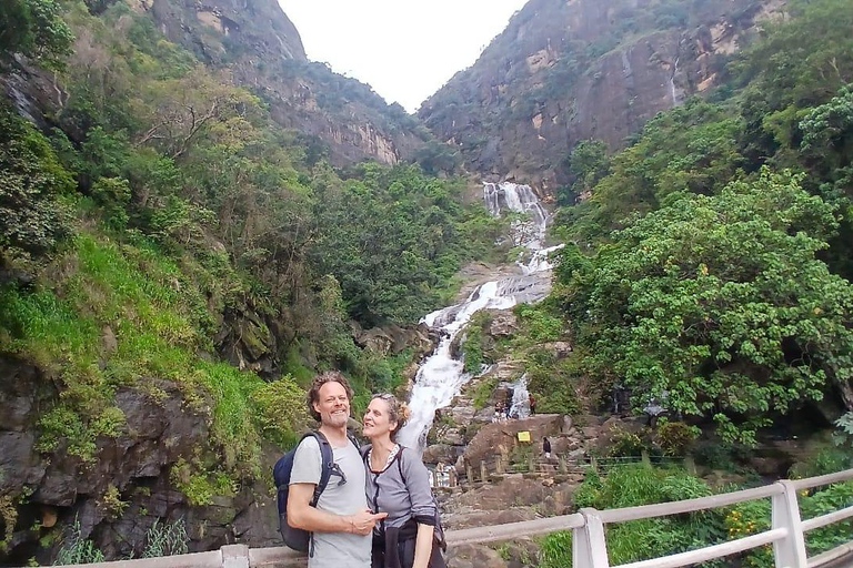 ELLA Lipton Seat Tea Test & Pluck 9Arch, Waterfalls, & Food Lipton's Seat, Little Adam Peak, 9 Arch, Ravana Waterfalls
