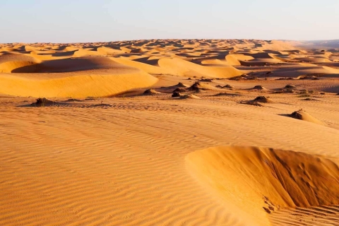 "Salalah Sands Adventure: Explore the Desert"