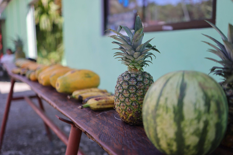 Nationaal park Cahuita & tropische tuin Maratopia