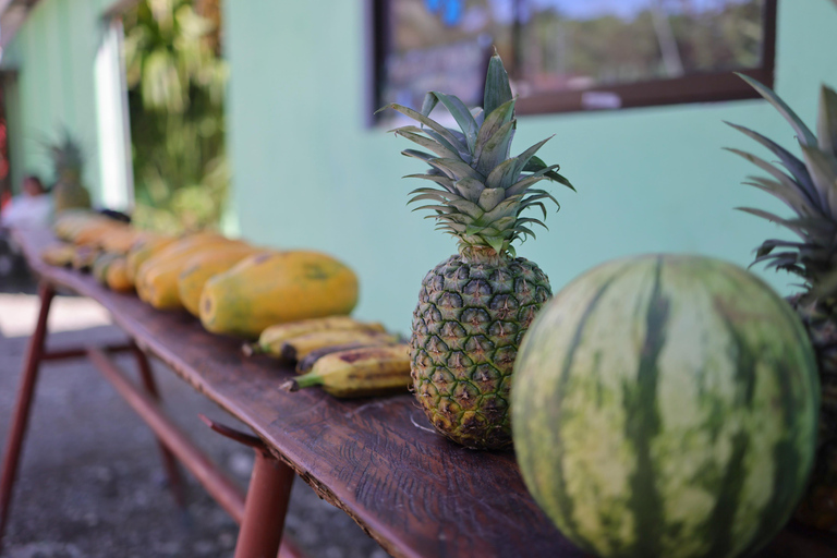 Parque nacional de Cahuita y jardín tropical de Maratopia