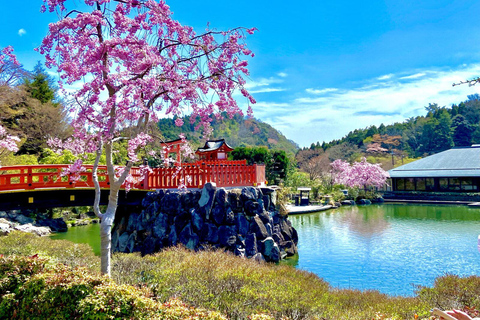 Osaka: Minoh Minoh, Katsuoji Temple &amp; Minoh Falls dagsutflykt