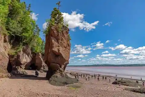 Excursão particular a Hopewell Rocks e ao Parque Nacional de Fundy
