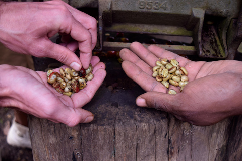 Arusha : Visite des cafés et/ou cours de poterie avec déjeunerTournée des cafés