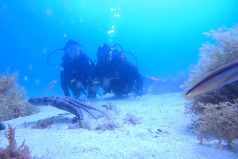 My first scuba dive in the Ocean from Madeira