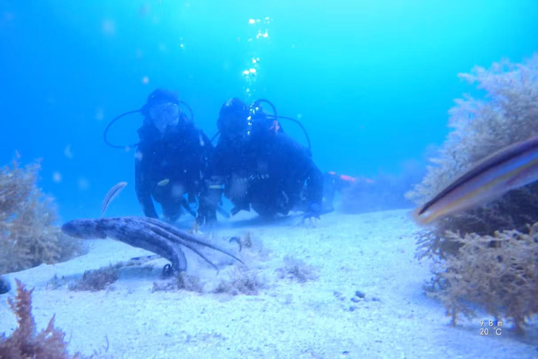 La mia prima immersione subacquea nell&#039;Oceano da MadeiraLa mia prima immersione nell&#039;oceano da Madeira