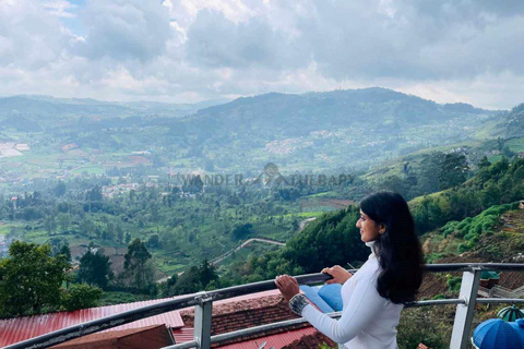 From Bangalore: Majestic Ooty Hill Station Tour 2N/3D