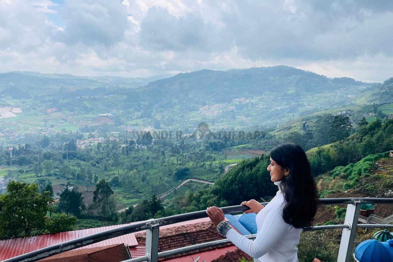 From Bangalore: Majestic Ooty Hill Station Tour 2N/3D