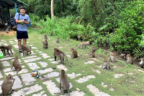 Ho Chi Minh: Eco-tour naar het mangrovebos van Can Gio PVT en SICGroepsreis