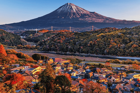 Mount Fuji Full Day Private Customizable Tour with Guide