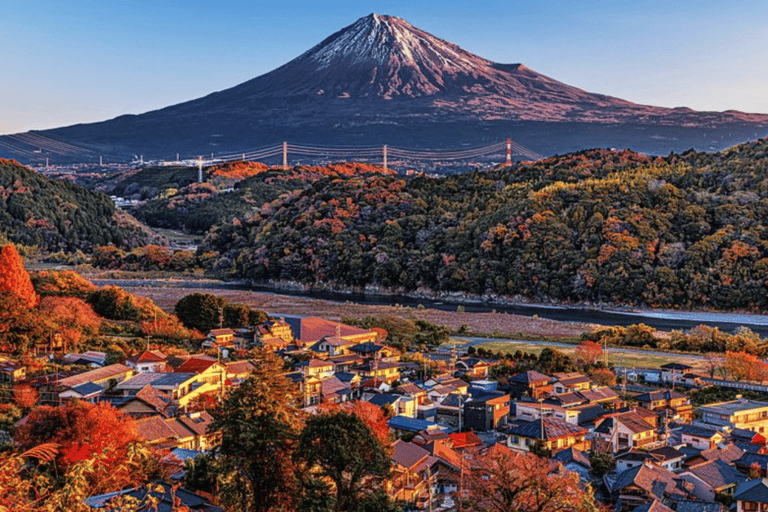 Mount Fuji Full Day Private Customizable Tour with Guide