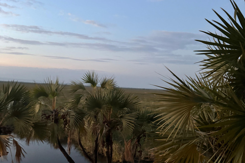 Addis Abeba: Awash-Nationalpark &amp; Harar 4-tägige Tour