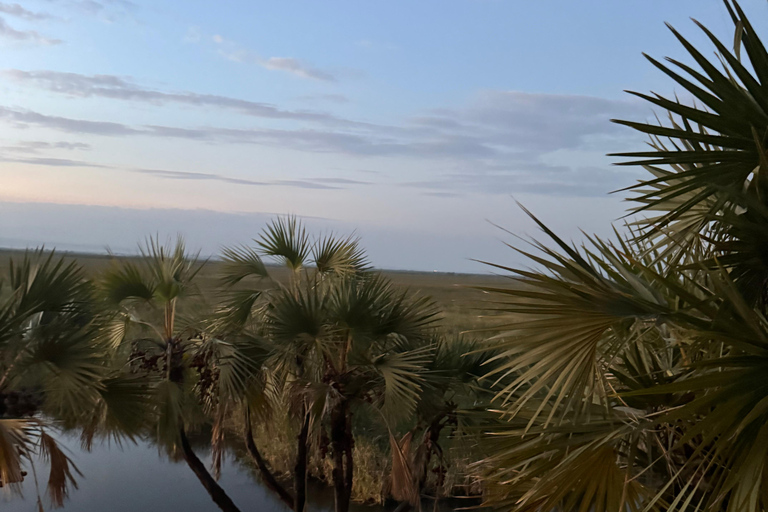 Addis Abeba: Awash-Nationalpark &amp; Harar 4-tägige Tour