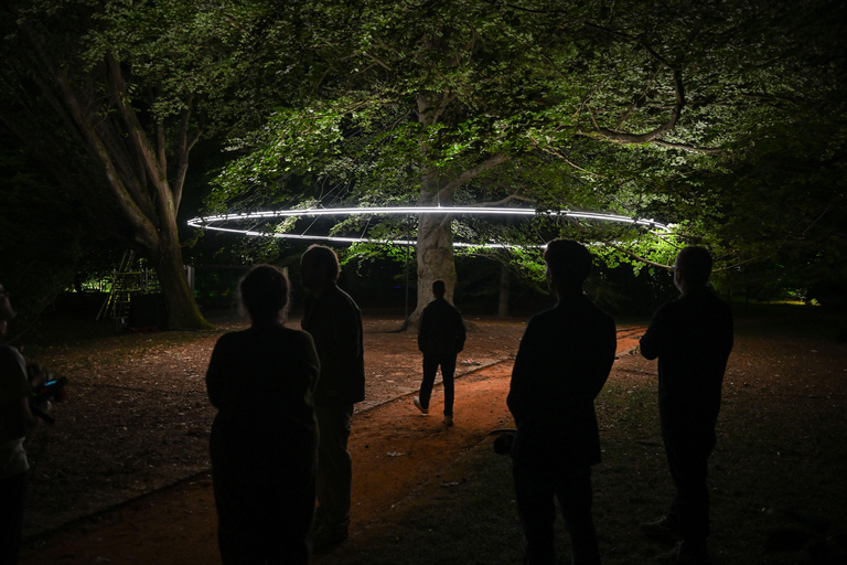 Porto: Serralves Em Luz Immersive Light Show Entry Ticket