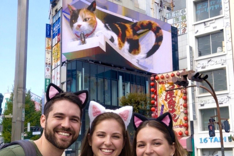 Tokyo: Gotokuji Cat Temple, Shinjuku Cat Cafe & 3D Cat Tour