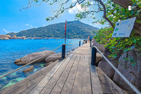 Koh Tao: Snorkel with Turtles at Nangyuan with Fewer Crowds