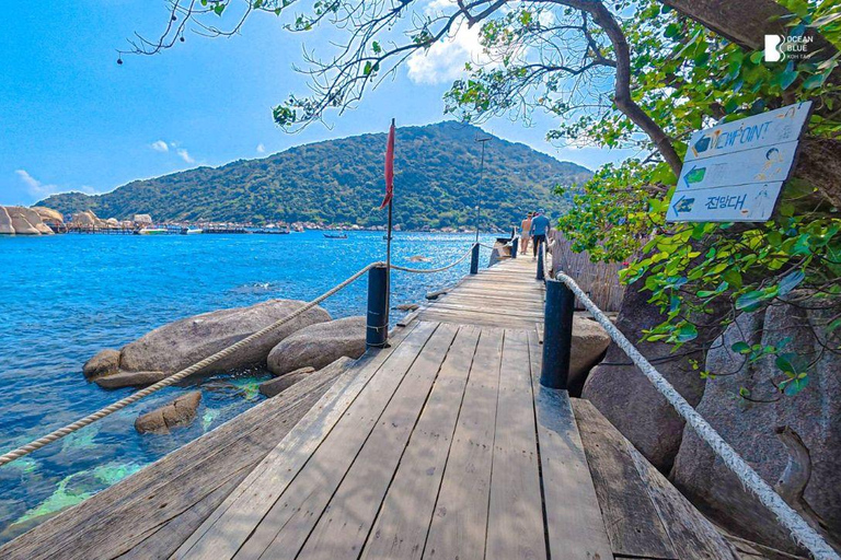 Koh Tao: Snorkel with Turtles at Nangyuan with Fewer Crowds