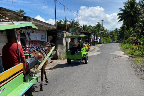 特特巴图：瀑布、香料、梯田、猴子森林特特巴图之旅、香料、瀑布、梯田、猴林