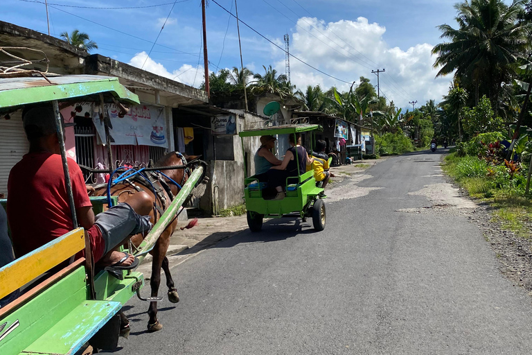 特特巴图：瀑布、香料、梯田、猴子森林特特巴图之旅、香料、瀑布、梯田、猴林