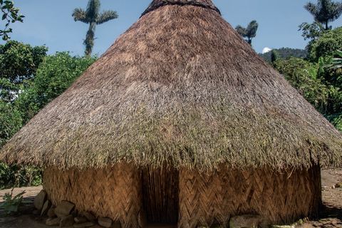 Zaginione Miasto 4 dni