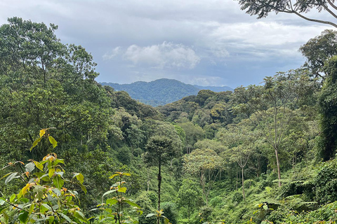 Scenic waterfall experience in the middle of Nyungwe Forest