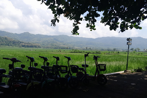 Yogyakarta: Borobudur Temple and Sungai Mudal Day Trip