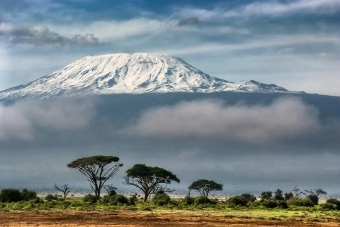 6 jours Route Machame Ascension du Kilimandjaro