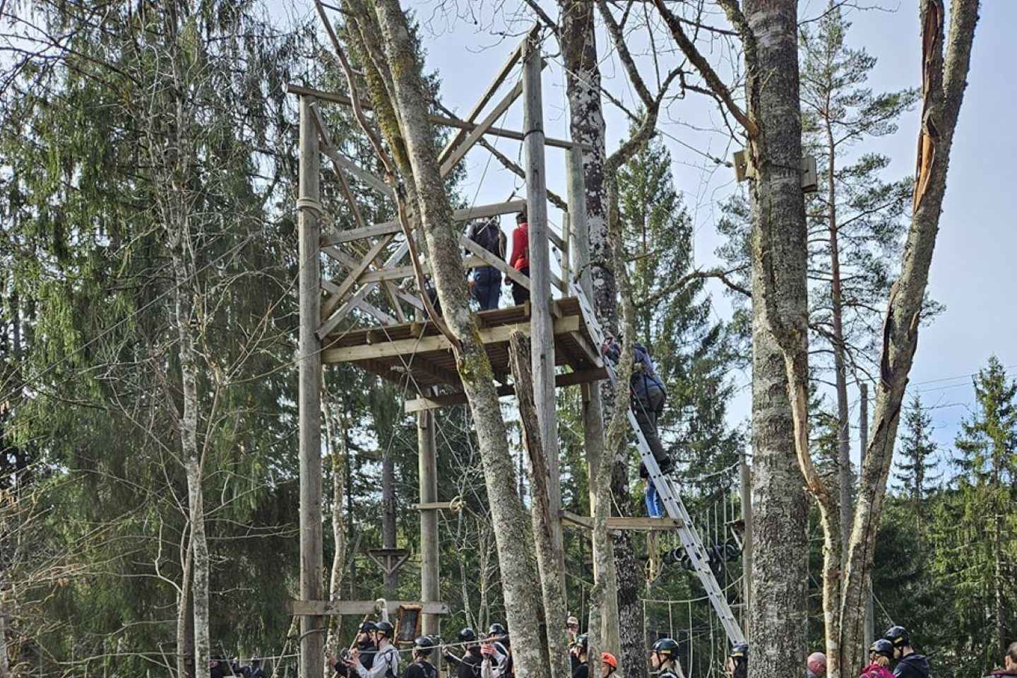 Dals Långed: High Ropes Adventure for Adults and Kids